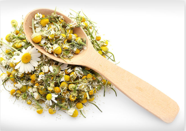 Chamomile Flowers