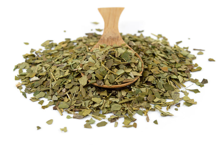 yerba mate leaves